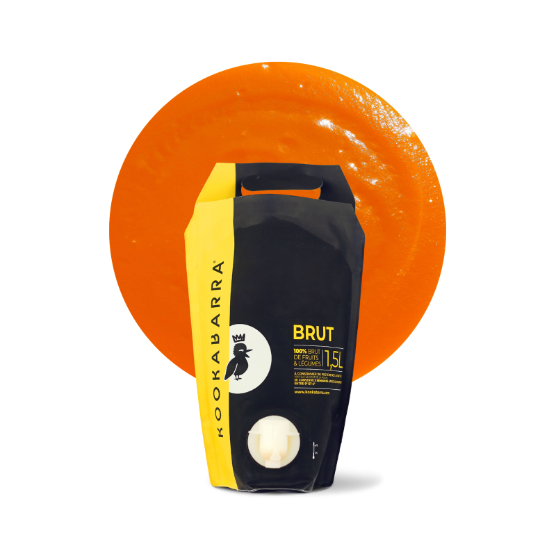 Purée fraîche de Mangue 1,5L