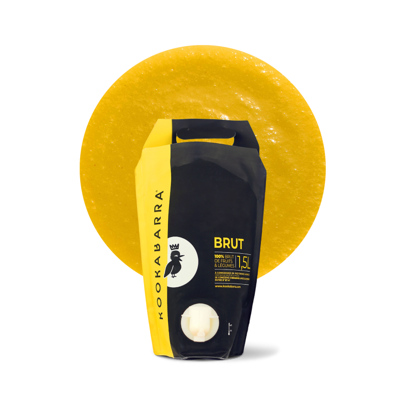 Purée fraîche de Kiwi 1,5L