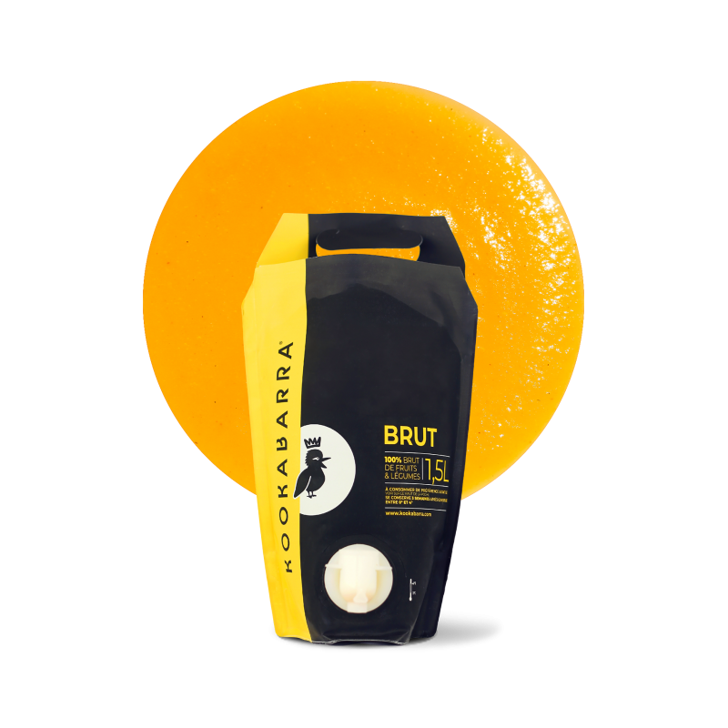 Purée fraîche de Pomme 1,5L