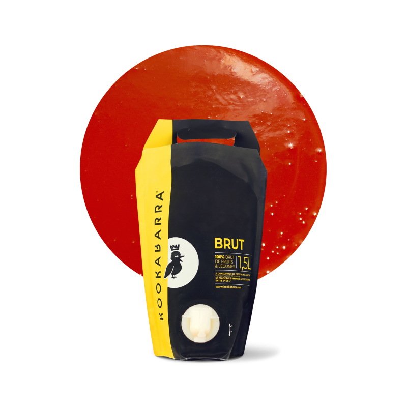 Purée fraîche de Fraise 1,5L