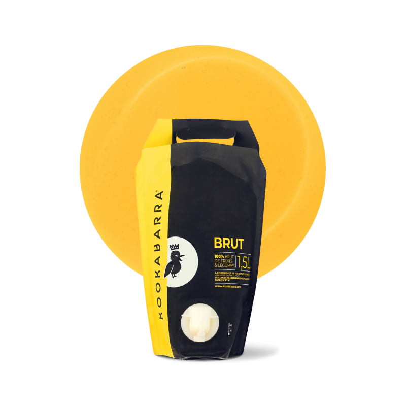 Purée fraîche de Gingembre...